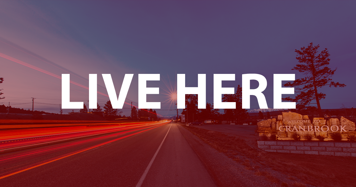 Cranbrook Newcomers Guide - Choose Cranbrook